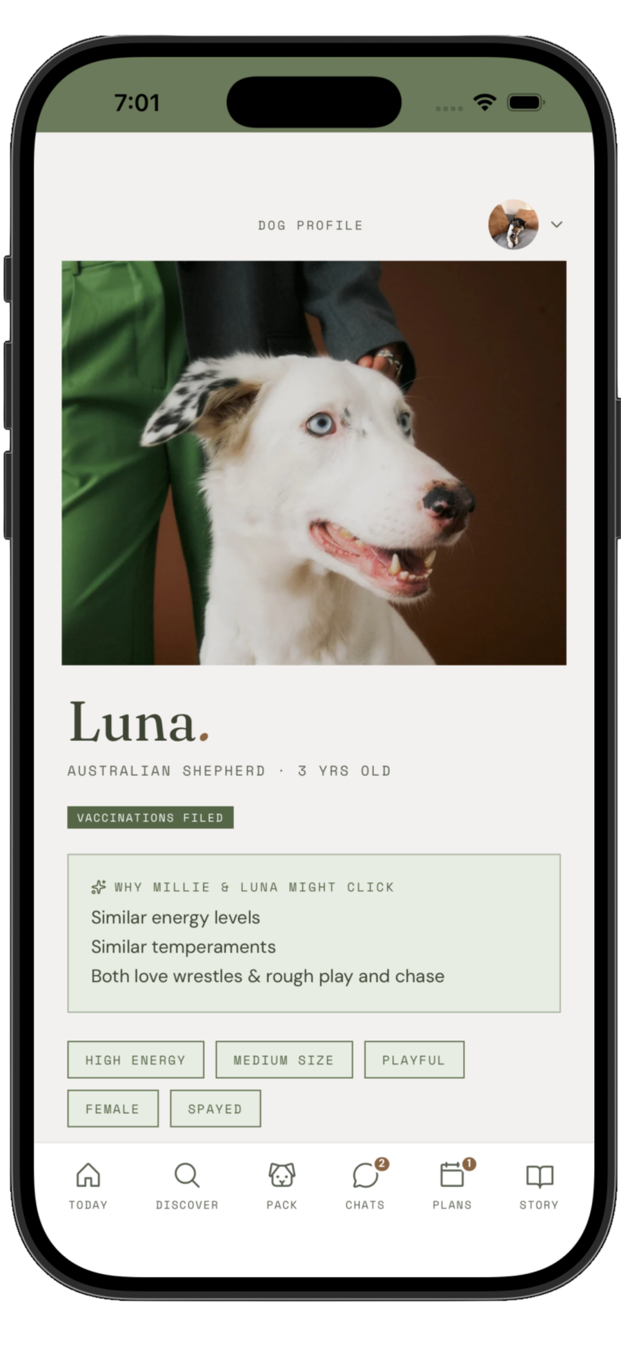 good frens app &mdash; Make a plan.